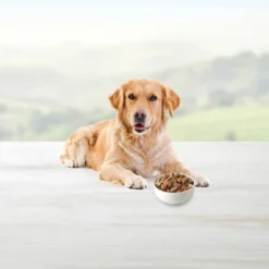 Blue Buffalo Family Favorite Recipes Beef In Gravy Wet Dog Food - 12.5oz/12ct Pack -Blue Buffalo GUEST 8fff9645 73a8 4f55 9cfc 31f8f624dddc