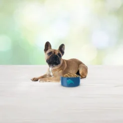 Blue Buffalo Freedom Grain Free With Chicken, Peas & Potatoes Small Breed Dry Dog Food -Blue Buffalo GUEST 94d0851d 4747 4543 af09 25375f8d46bf