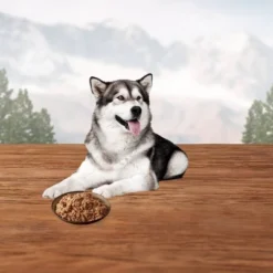 Blue Buffalo Wilderness Grain Free Wet Dog Food Denali Dinner With Wild Salmon, Venison & Halibut Fish - 12.5oz/12ct Pack 9 Blue Buffalo Wilderness Grain Free Wet Dog Food Denali Dinner With Wild Salmon, Venison & Halibut Fish - 12.5oz/12ct Pack -Blue Buffalo GUEST 9591bcfc 6446 487b a8d6 88c90b305c9a