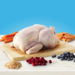 Blue Buffalo True Solutions Regular Indoor Adult Cat Chicken Dry Cat Food - 3.5lbs -Blue Buffalo GUEST 95bb839e 85b7 4882 b06e ccf48250cdc7