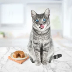 Blue Buffalo Tasteful Chicken, Turkey, Ocean Fish And Tuna Pate Flavoured Variety Wet Cat Food Pack - 5.5oz/24ct -Blue Buffalo GUEST 986e753a cbb3 4725 a836 7a98f34ea5e2