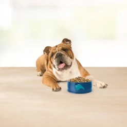 Blue Buffalo Basics Skin & Stomach Care Natural Adult Dry Dog Food With Turkey & Potato - 24lbs -Blue Buffalo GUEST aa271f50 2e42 424d 808b 2e829f449fd8