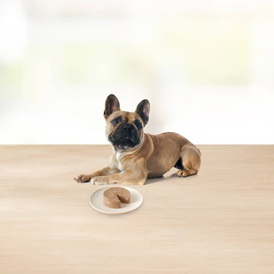 Blue Buffalo Basics Basics Skin & Stomach Care, Grain Free Natural Lamb & Potato Recipe Small Breed Wet Dog Food - 42oz/12ct 3 Blue Buffalo Basics Basics Skin & Stomach Care, Grain Free Natural Lamb & Potato Recipe Small Breed Wet Dog Food - 42oz/12ct - Image 3