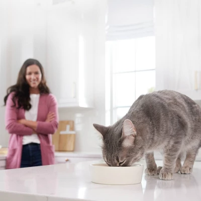 Blue Buffalo Tasteful Spoonless Singles Chicken And Turkey Entree Pate Wet Cat Food Variety Pack - 31.2oz/12ct 3 Blue Buffalo Tasteful Spoonless Singles Chicken And Turkey Entree Pate Wet Cat Food Variety Pack - 31.2oz/12ct - Image 3