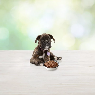 Blue Buffalo Freedom Grain Free Wet Dog Food Chicken Recipe Puppy - 12.5oz/12ct Pack 4 Blue Buffalo Freedom Grain Free Wet Dog Food Chicken Recipe Puppy - 12.5oz/12ct Pack - Image 4