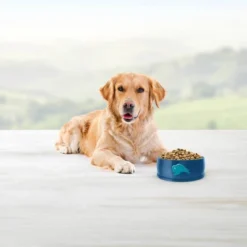 Blue Buffalo Life Protection Formula Natural Adult Dry Dog Food With Fish And Brown Rice 10 Blue Buffalo Life Protection Formula Natural Adult Dry Dog Food With Fish And Brown Rice -Blue Buffalo GUEST d7784ee8 fd6b 4d4f af32 099ff89dc0a9 1