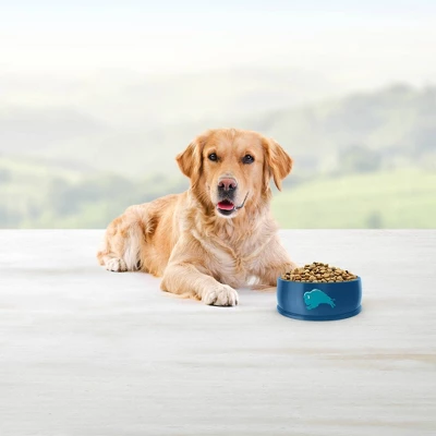 Blue Buffalo Life Protection Formula Natural Adult Dry Dog Food With Fish And Brown Rice 4 Blue Buffalo Life Protection Formula Natural Adult Dry Dog Food With Fish And Brown Rice - Image 4