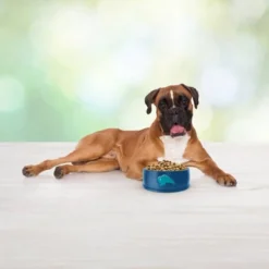 Blue Buffalo Freedom Grain Free With Beef, Potatoes & Peas Adult Dry Dog Food -Blue Buffalo GUEST e2581b81 5cbf 4bb5 9808 8bb2f645d131