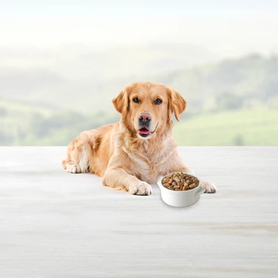 Blue Buffalo Blue's Stew Chicken & Beef In Gravy Wet Dog Food Variety Pack For Adult Dogs, Grain-Free - 12.5oz/6ct 4 Blue Buffalo Blue's Stew Chicken & Beef In Gravy Wet Dog Food Variety Pack For Adult Dogs, Grain-Free - 12.5oz/6ct - Image 4