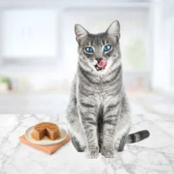 Blue Buffalo Tastefuls Natural Pate Wet Cat Food Variety Pack Chicken, Turkey & Chicken And Seafood & Tuna - 5.5oz/12ct -Blue Buffalo GUEST ec780ba0 6b0c 4f64 84c0 243fed975d4a 1