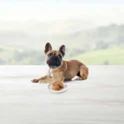 Blue Buffalo Delights Natural Adult Small Breed Wet Dog Food Cups Pate Style, Grilled Chicken & Top Sirloin Beef Flavor - 3.5oz/12ct -Blue Buffalo GUEST f0188283 2ac4 474f 8b43 e8fd36a6d83d 2