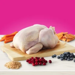 Blue Buffalo True Solutions Indoor Hairball Adult Cat Chicken Dry Cat Food - 11lbs -Blue Buffalo GUEST f03fc208 5d46 4974 ab7f 1ec02d38cea6