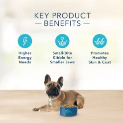 Blue Buffalo Basics Limited Ingredient Diet Turkey & Potato Recipe Small Breed Adult Dry Dog Food (11 Lb) -Blue Buffalo blue buffalo basics limited ingredient diet turkey potato recipe small breed adult dry dog food 11 lb 102