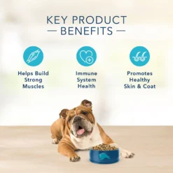 Blue Buffalo Basics Limited Ingredient Formula Turkey & Potato Recipe Adult Dry Dog Food (11 Lb) 12 Blue Buffalo Basics Limited Ingredient Formula Turkey & Potato Recipe Adult Dry Dog Food (11 Lb) -Blue Buffalo blue buffalo basics limited ingredient formula turkey potato recipe adult dry dog food 11 lb 102