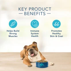 Blue Buffalo Basics Limited Ingredient Grain-Free Formula Duck & Potato Recipe Adult Dry Dog Food (22 Lb) -Blue Buffalo blue buffalo basics limited ingredient grain free formula duck potato recipe adult dry dog food 22 lb 104