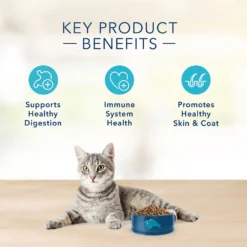 Blue Buffalo Basics Limited Ingredient Grain-Free Formula Fish & Potato Indoor Adult Dry Cat Food (11 Lb) -Blue Buffalo blue buffalo basics limited ingredient grain free formula fish potato indoor adult dry cat food 11 lb 111