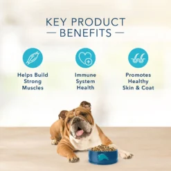 Blue Buffalo Basics Limited Ingredient Grain-Free Formula Lamb & Potato Recipe Adult Dry Dog Food (11 Lb) -Blue Buffalo blue buffalo basics limited ingredient grain free formula lamb potato recipe adult dry dog food 11 lb 125