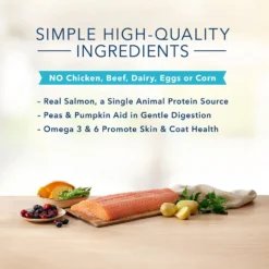 Blue Buffalo Basics Limited Ingredient Grain-Free Formula Salmon & Potato Recipe Adult Dry Dog Food (22 Lb) -Blue Buffalo blue buffalo basics limited ingredient grain free formula salmon potato recipe adult dry dog food 22 lb 100