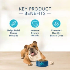 Blue Buffalo Basics Limited Ingredient Grain-Free Formula Turkey & Potato Recipe Adult Dry Dog Food (11 Lb) -Blue Buffalo blue buffalo basics limited ingredient grain free formula turkey potato recipe adult dry dog food 11 lb 102