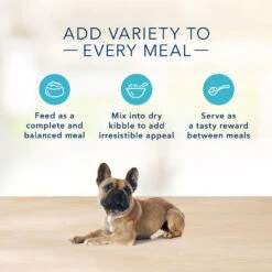 Blue Buffalo Basics Limited Ingredient Grain-Free Lamb & Potato Small Breed Adult Wet Dog Food (3oz X 24) -Blue Buffalo blue buffalo basics limited ingredient grain free lamb potato small breed adult wet dog food 3oz x 24 92