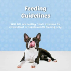 Blue Buffalo Blue Bits Tempting Turkey Recipe Soft-Moist Training Dog Treats, 4-oz Bag 11 Blue Buffalo Blue Bits Tempting Turkey Recipe Soft-Moist Training Dog Treats, 4-oz Bag -Blue Buffalo blue buffalo blue bits tempting turkey recipe soft moist training dog treats 4 oz bag 90