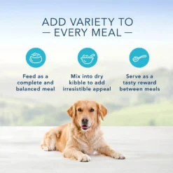 Blue Buffalo Blue's Tasty Turkey Stew Grain Free Canned Dog Food (12.5oz X 12) -Blue Buffalo blue buffalo blue s tasty turkey stew grain free canned dog food 12 5oz x 12 90