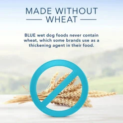 Blue Buffalo Divine Delights Roasted Turkey Flavor Pate Dog Food Trays (3.5oz X 12) -Blue Buffalo blue buffalo divine delights roasted turkey flavor pate dog food trays 3 5oz x 12 89