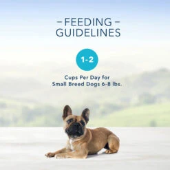 Blue Buffalo Divine Delights Roasted Turkey Flavor Pate Dog Food Trays (3.5oz X 12) -Blue Buffalo blue buffalo divine delights roasted turkey flavor pate dog food trays 3 5oz x 12 91