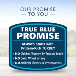 Blue Buffalo Divine Delights Roasted Turkey Flavor Pate Dog Food Trays (3.5oz X 12) -Blue Buffalo blue buffalo divine delights roasted turkey flavor pate dog food trays 3 5oz x 12 93