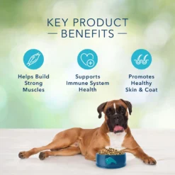 Blue Buffalo Freedom Adult Beef Recipe Grain-Free Dry Dog Food (24 Lb) 11 Blue Buffalo Freedom Adult Beef Recipe Grain-Free Dry Dog Food (24 Lb) -Blue Buffalo blue buffalo freedom adult beef recipe grain free dry dog food 24 lb 98