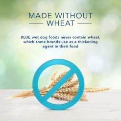 Blue Buffalo Freedom Adult Chicken Recipe Grain-Free Canned Dog Food (12.5oz X 12) -Blue Buffalo blue buffalo freedom adult chicken recipe grain free canned dog food 12 5oz x 12 95