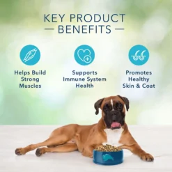 Blue Buffalo Freedom Adult Chicken Recipe Grain-Free Dry Dog Food (24 Lb) 10 Blue Buffalo Freedom Adult Chicken Recipe Grain-Free Dry Dog Food (24 Lb) -Blue Buffalo blue buffalo freedom adult chicken recipe grain free dry dog food 24 lb 167