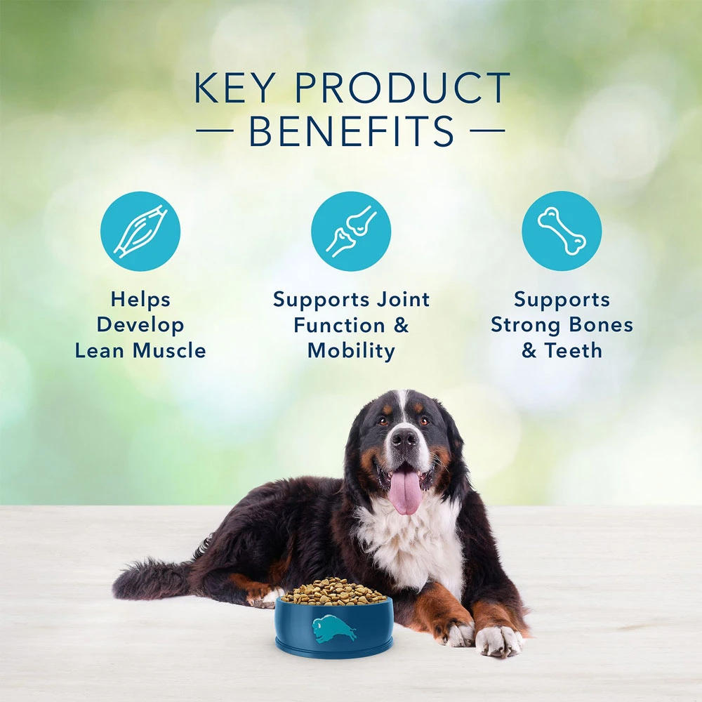 Blue Buffalo Freedom Large Breed Adult Chicken Recipe Grain-Free Dry Dog Food (24 Lb) 4 Blue Buffalo Freedom Large Breed Adult Chicken Recipe Grain-Free Dry Dog Food (24 Lb) - Image 4