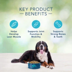 Blue Buffalo Freedom Large Breed Adult Lamb Recipe Grain-Free Dry Dog Food (24 Lb) 11 Blue Buffalo Freedom Large Breed Adult Lamb Recipe Grain-Free Dry Dog Food (24 Lb) -Blue Buffalo blue buffalo freedom large breed adult lamb recipe grain free dry dog food 24 lb 98