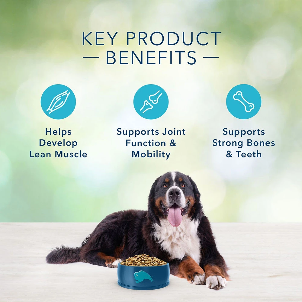 Blue Buffalo Freedom Large Breed Adult Lamb Recipe Grain-Free Dry Dog Food (24 Lb) 4 Blue Buffalo Freedom Large Breed Adult Lamb Recipe Grain-Free Dry Dog Food (24 Lb) - Image 4