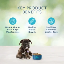 Blue Buffalo Freedom Puppy Chicken Recipe Grain-Free Dry Dog Food (24 Lb) -Blue Buffalo blue buffalo freedom puppy chicken recipe grain free dry dog food 24 lb 86