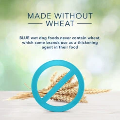 Blue Buffalo Freedom Small Breed Adult Chicken Recipe Grain-Free Canned Dog Food (5.5 Oz X 24) 9 Blue Buffalo Freedom Small Breed Adult Chicken Recipe Grain-Free Canned Dog Food (5.5 Oz X 24) -Blue Buffalo blue buffalo freedom small breed adult chicken recipe grain free canned dog food 5 5 oz x 24 90