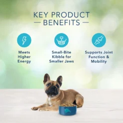 Blue Buffalo Freedom Small Breed Adult Chicken Recipe Grain-Free Dry Dog Food (11 Lb) 10 Blue Buffalo Freedom Small Breed Adult Chicken Recipe Grain-Free Dry Dog Food (11 Lb) -Blue Buffalo blue buffalo freedom small breed adult chicken recipe grain free dry dog food 11 lb 92