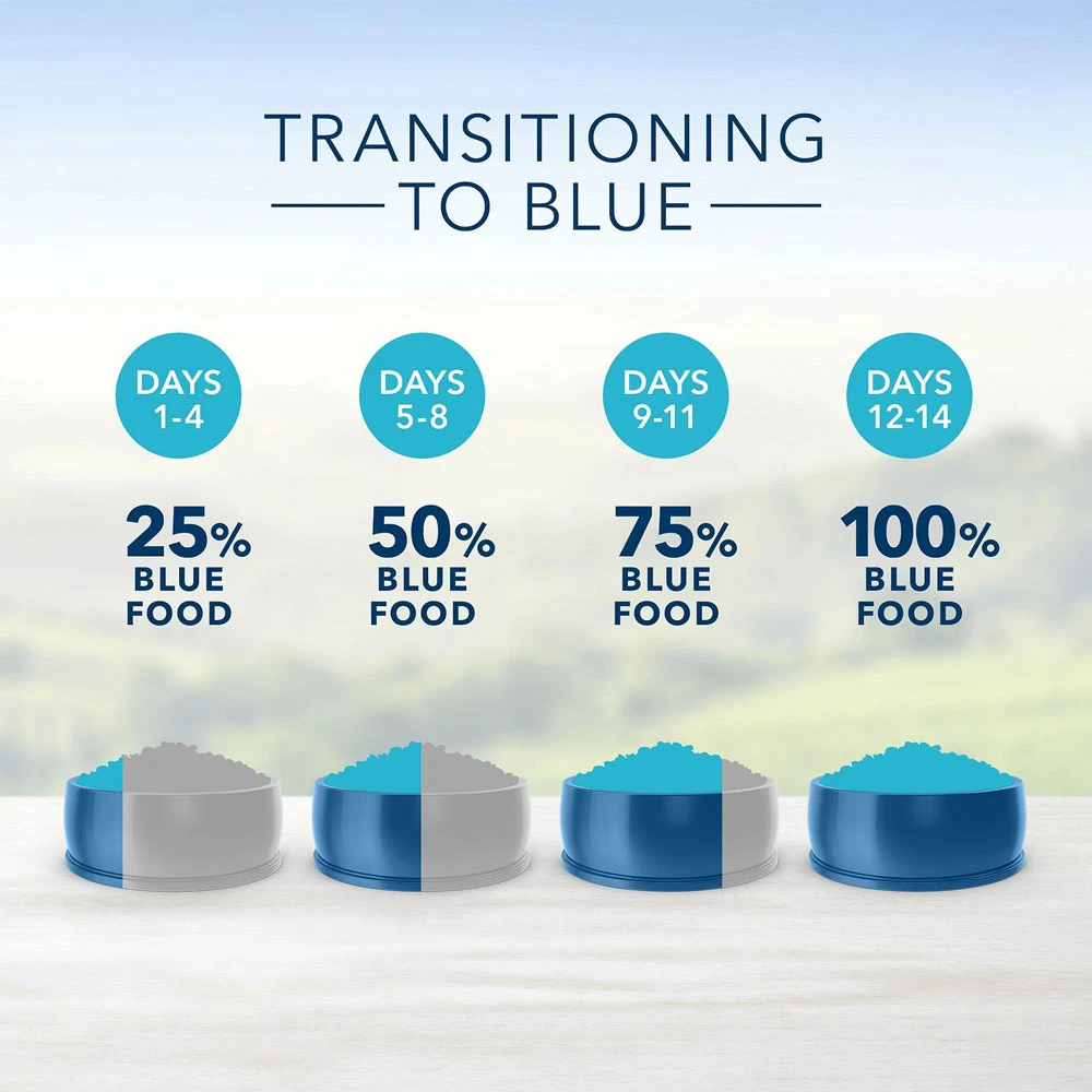 Blue Buffalo Healthy Aging Chicken & Brown Rice Recipe Mature Dry Cat Food (7 Lb) 6 Blue Buffalo Healthy Aging Chicken & Brown Rice Recipe Mature Dry Cat Food (7 Lb) - Image 6