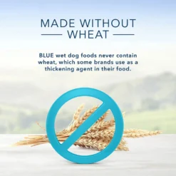 Blue Buffalo Homestyle Recipe Beef Dinner With Garden Vegetables & Sweet Potatoes Canned Dog Food (12.5oz X 12) -Blue Buffalo blue buffalo homestyle recipe beef dinner with garden vegetables sweet potatoes canned dog food 12 5oz x 12 88