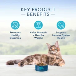 Blue Buffalo Indoor Health Salmon & Brown Rice Recipe Adult Dry Cat Food (15 Lb) -Blue Buffalo blue buffalo indoor health salmon brown rice recipe adult dry cat food 15 lb 135