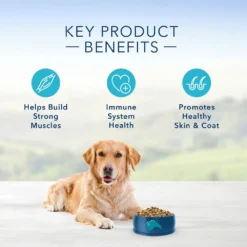Blue Buffalo Life Protection Formula Adult Chicken & Brown Rice Recipe Dry Dog Food (30 Lb) -Blue Buffalo blue buffalo life protection formula adult chicken brown rice recipe dry dog food 30 lb 101