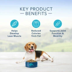 Blue Buffalo Life Protection Formula Healthy Weight Adult Chicken & Brown Rice Recipe Dry Dog Food (15 Lb) -Blue Buffalo blue buffalo life protection formula healthy weight adult chicken brown rice recipe dry dog food 15 lb 93