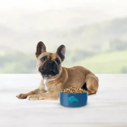 Blue Buffalo Life Protection Formula Healthy Weight Small Breed Adult Chicken & Brown Rice Recipe Dry Dog Food (15 Lb) -Blue Buffalo blue buffalo life protection formula healthy weight small breed adult chicken brown rice recipe dry dog food 15 lb 88