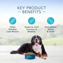 Blue Buffalo Life Protection Formula Large Breed Adult Lamb & Brown Rice Recipe Dry Dog Food (30 Lb) -Blue Buffalo blue buffalo life protection formula large breed adult lamb brown rice recipe dry dog food 30 lb 98