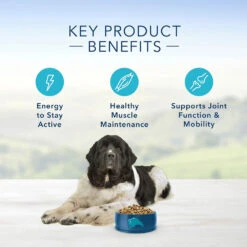 Blue Buffalo Life Protection Formula Large Breed Senior Chicken & Brown Rice Recipe Dry Dog Food (30 Lb) 13 Blue Buffalo Life Protection Formula Large Breed Senior Chicken & Brown Rice Recipe Dry Dog Food (30 Lb) -Blue Buffalo blue buffalo life protection formula large breed senior chicken brown rice recipe dry dog food 30 lb 98