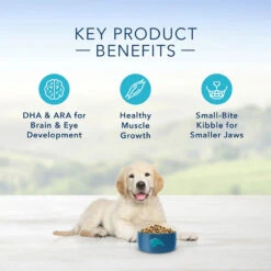 Blue Buffalo Life Protection Formula Puppy Chicken & Brown Rice Recipe Dry Dog Food (15 Lb) 13 Blue Buffalo Life Protection Formula Puppy Chicken & Brown Rice Recipe Dry Dog Food (15 Lb) -Blue Buffalo blue buffalo life protection formula puppy chicken brown rice recipe dry dog food 15 lb 168