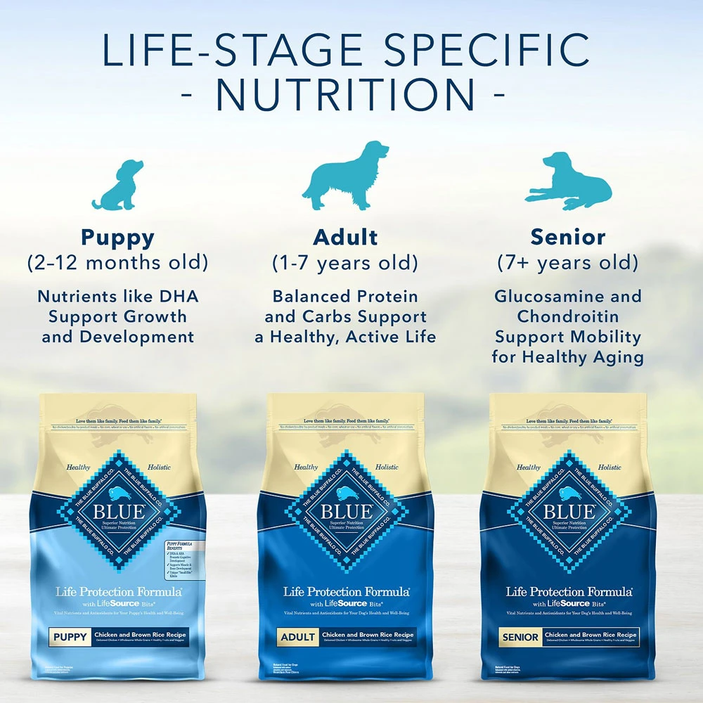 Blue Buffalo Life Protection Formula Senior Chicken & Brown Rice Recipe Dry Dog Food (6 Lb) 7 Blue Buffalo Life Protection Formula Senior Chicken & Brown Rice Recipe Dry Dog Food (6 Lb) - Image 7