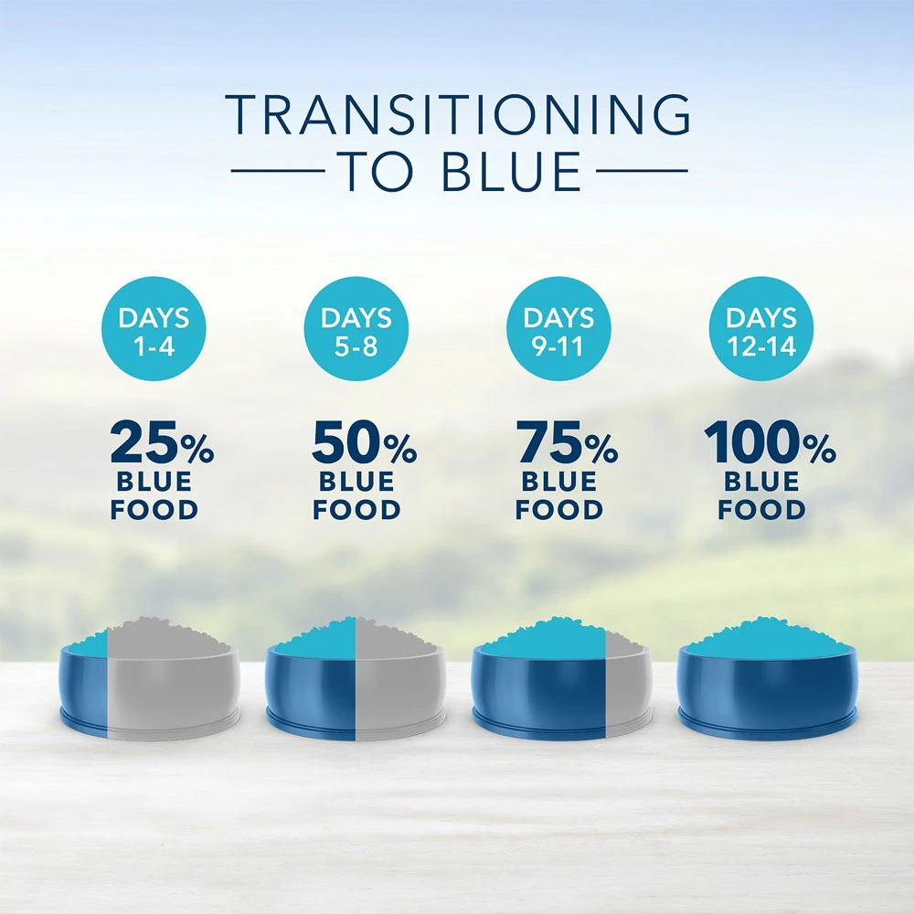 Blue Buffalo Life Protection Formula Small Bite Adult Chicken & Brown Rice Recipe Dry Dog Food (15 Lb) 6 Blue Buffalo Life Protection Formula Small Bite Adult Chicken & Brown Rice Recipe Dry Dog Food (15 Lb) - Image 6