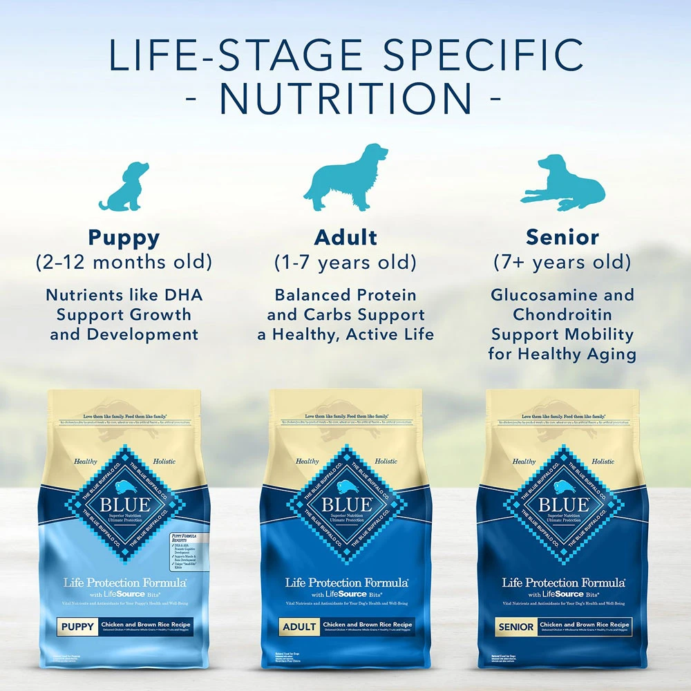 Blue Buffalo Life Protection Formula Small Bite Adult Chicken & Brown Rice Recipe Dry Dog Food (15 Lb) 7 Blue Buffalo Life Protection Formula Small Bite Adult Chicken & Brown Rice Recipe Dry Dog Food (15 Lb) - Image 7